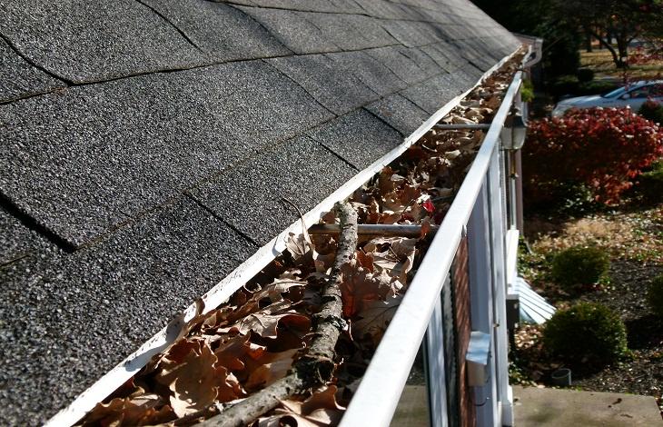 Saddlebred Roofing Revolutionizes Gutter Repair and Installation in Louisville, KY